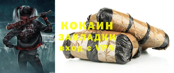хмурый Аркадак