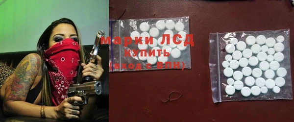 хмурый Аркадак