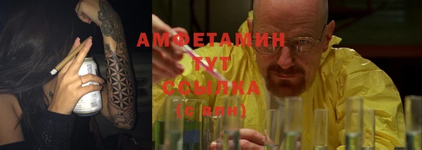 хмурый Аркадак