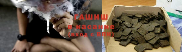 хмурый Аркадак