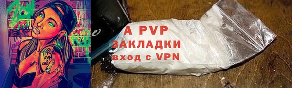хмурый Аркадак