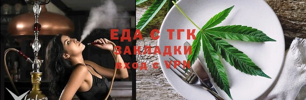 хмурый Аркадак