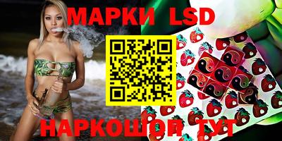 скорость Новозыбков