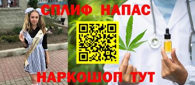 скорость Новозыбков