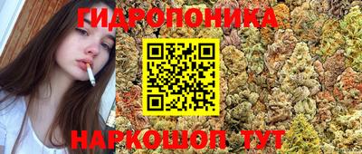 дживик Новокубанск