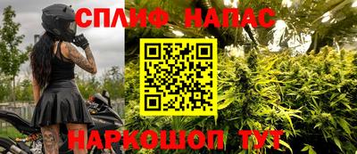 скорость Новозыбков