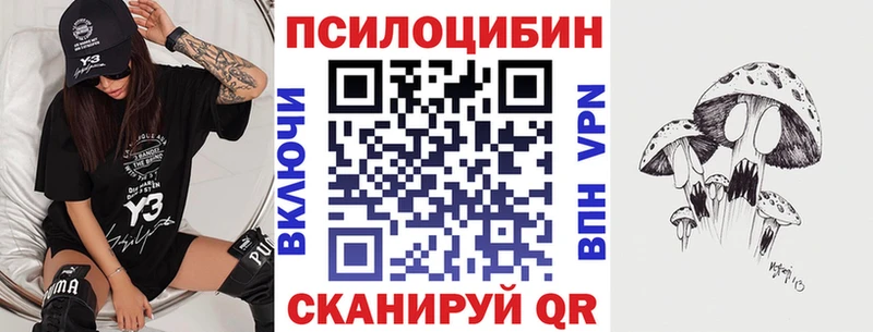 omg как зайти  Балтийск  Галлюциногенные грибы Magic Shrooms 