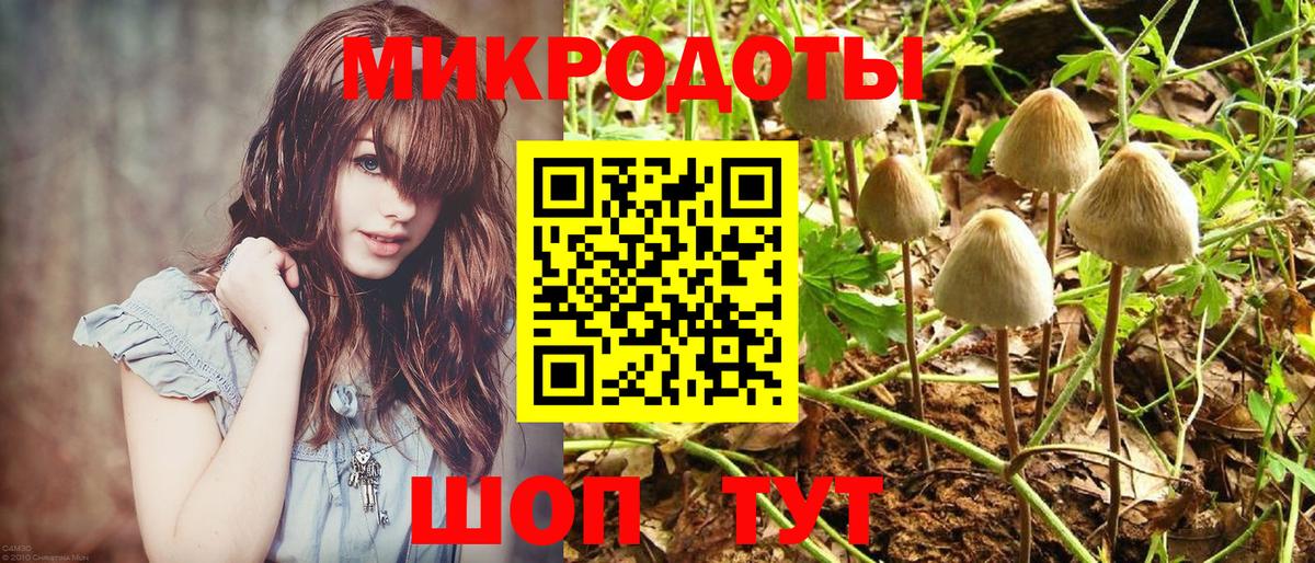 Псилоцибиновые грибы мицелий Балтийск